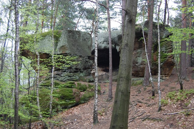 29 DSC_9258.JPG - (C) Jacek L. Piotrowski 601 07-77-09